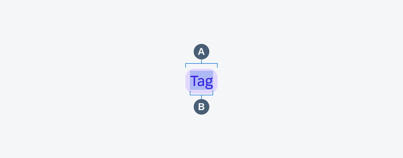 Anatomy of a tag 