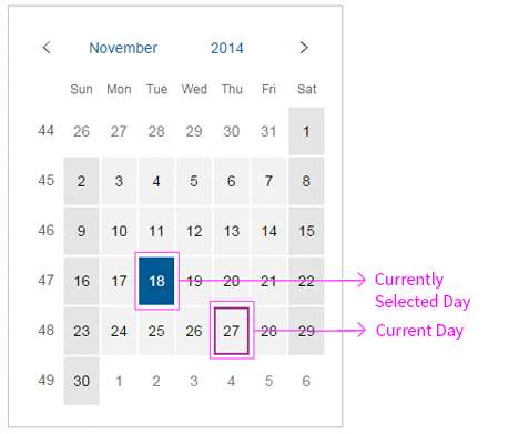 Date picker with selected date and the current date