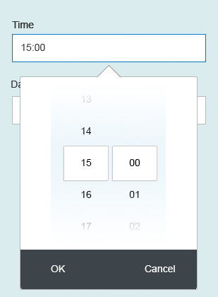 Date/time input – Open