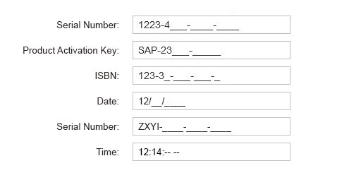 Examples of input with different number masks
