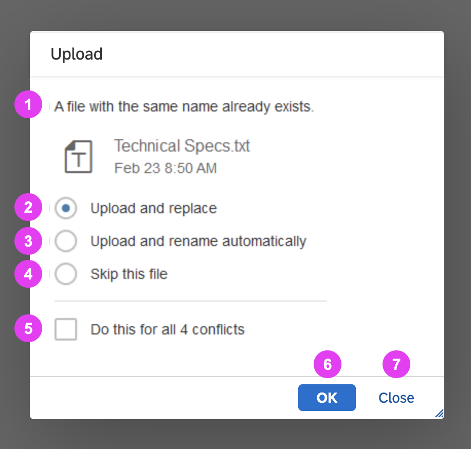 Interaction – Upload duplicate – Details