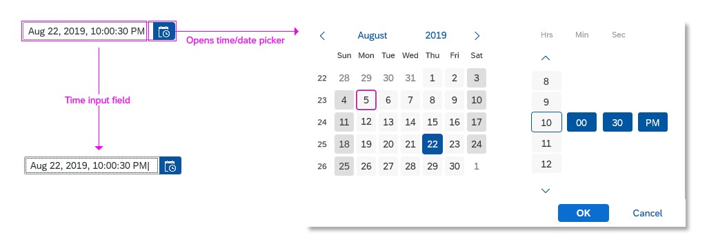 Date/time picker – Entering data with input and picker